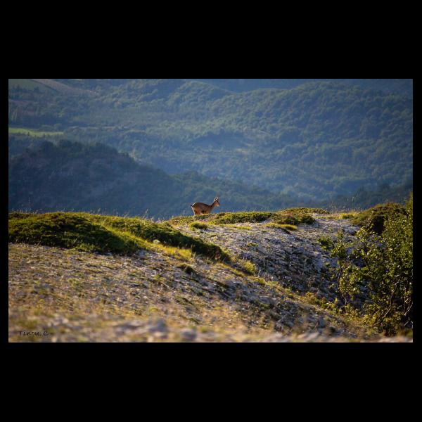 PHOTO84, CLUB, 84 , LUBERON